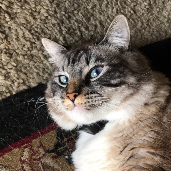 Meet your Posher, Kelly - Picture 1 of 1